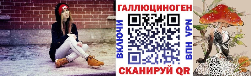 Купить  Коркино  Псилоцибиновые грибы Psilocybe 